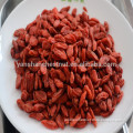 EU Certificate Organic Goji Berry (280)